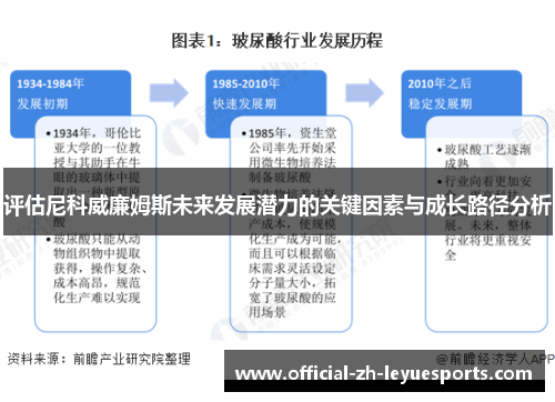评估尼科威廉姆斯未来发展潜力的关键因素与成长路径分析