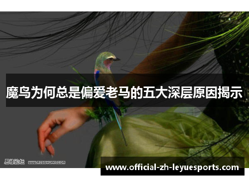 魔鸟为何总是偏爱老马的五大深层原因揭示