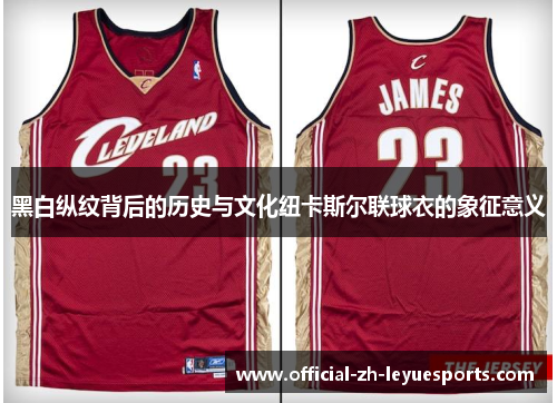 黑白纵纹背后的历史与文化纽卡斯尔联球衣的象征意义 黑白纵纹背后的历史与文化纽卡斯尔联球衣的象征意义