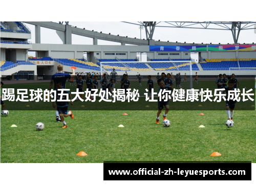 踢足球的五大好处揭秘 让你健康快乐成长 踢足球的五大好处揭秘 让你健康快乐成长