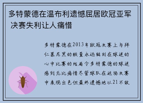 多特蒙德在温布利遗憾屈居欧冠亚军 决赛失利让人痛惜 多特蒙德在温布利遗憾屈居欧冠亚军 决赛失利让人痛惜
